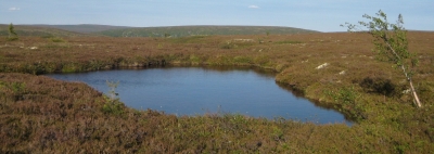 salen_2010_jarvi