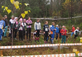 halikkoviesti_2011_4