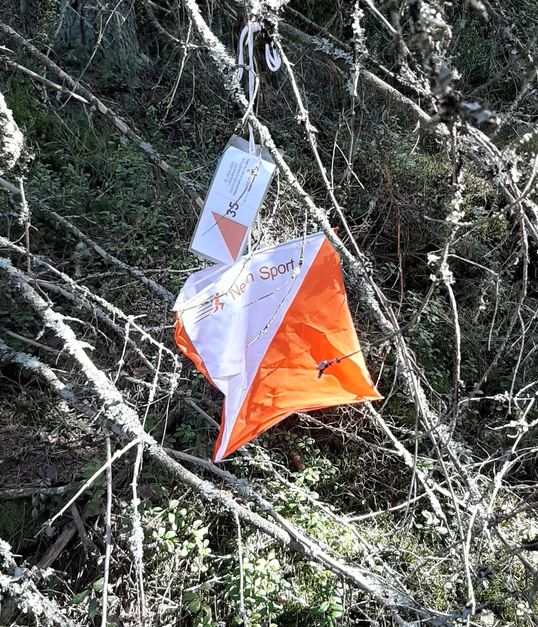 2020 LR orienteringsskarm